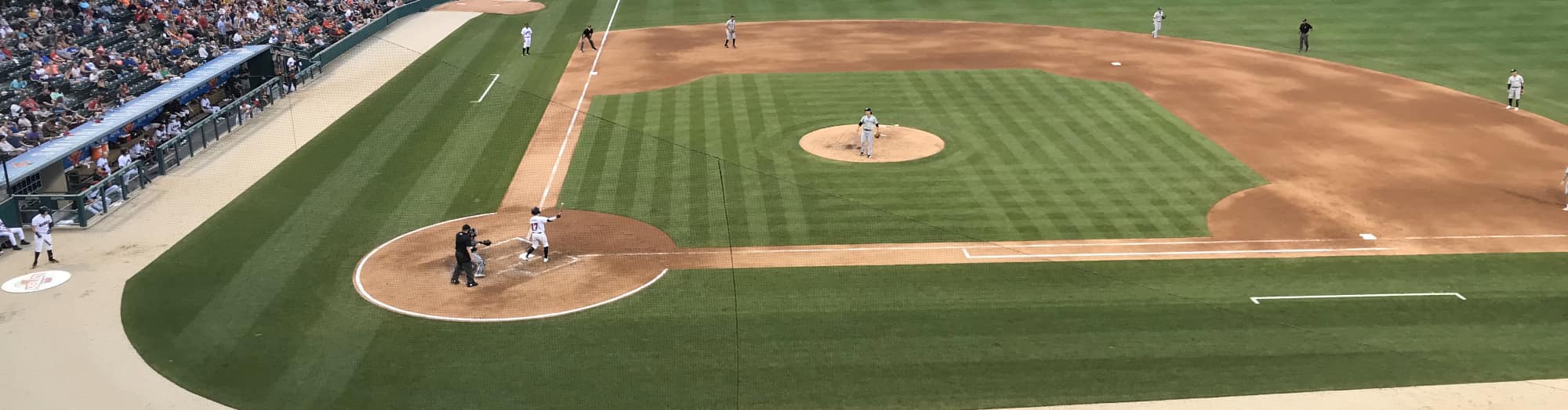 green baseball field Gainesville