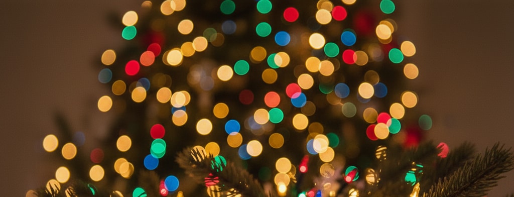 bokeh christmas lights Gainesville