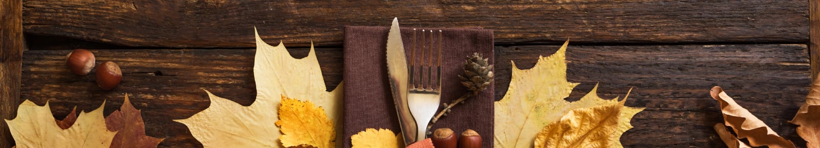 Thanksgiving Events Gainesville